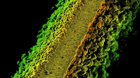 Astute Surveying Hydrographic, GPS and Laser Surveying